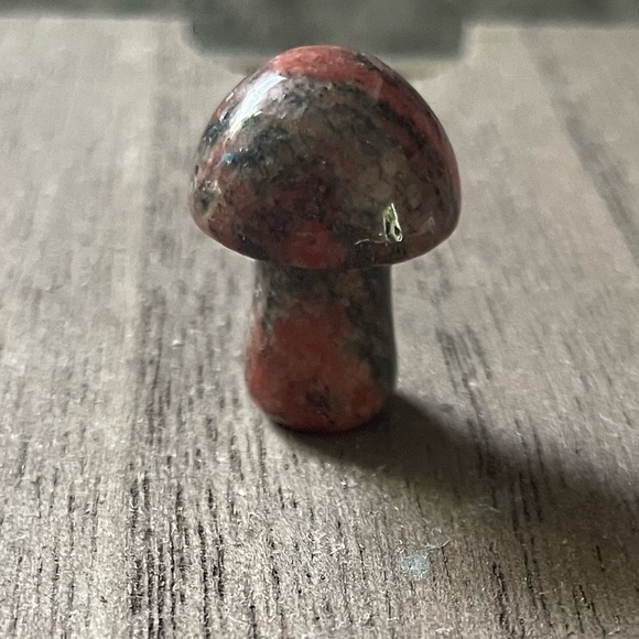 Unakite mushroom tumbled stone - Picture 4 of 5